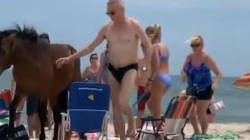 VIDEO: Týpka na pláži kopl kůň do koulí! Blbec totiž neposlechl varování…