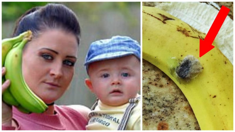 FOTO: Maminka se k smrti vyděsila a musela utéct z domu, když zjistila, že v banánech jsou stovky nejjedovatějších pavouků! Tohle byste zažít nechtěli
