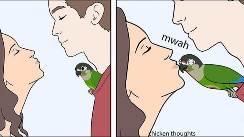 GALERIE: 17 vtipných ilustrací ze života papoušků, které pochopí každý jejich majitel