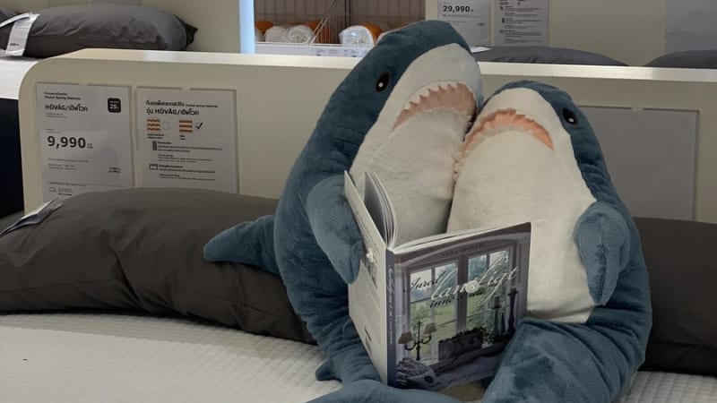 GALERIE: Lidé staví roztomilého žraloka z IKEA do každodenních situací. Kvůli vtipným fotkám si ho zamilujete