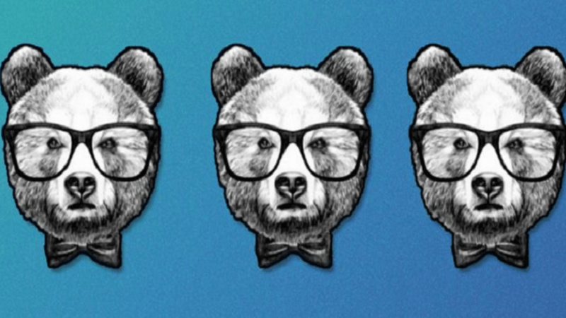ŘEŠENÍ: Optická hádanka pro lidi s nejlepším zrakem! Poznáte, který z medvědů je jiný než ostatní?