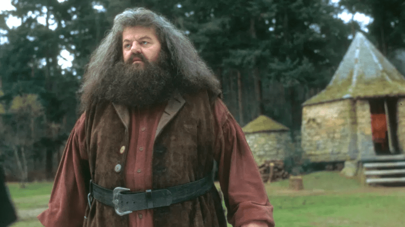 Tohle je příčina úmrtí Hagrida z Harryho Pottera. Jakými zdravotními problémy herec trpěl?