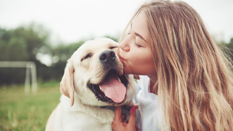 ODHALENO: Mazlení se psem zmírňuje bolest, tvrdí nová studie. Jak je to vůbec možné?
