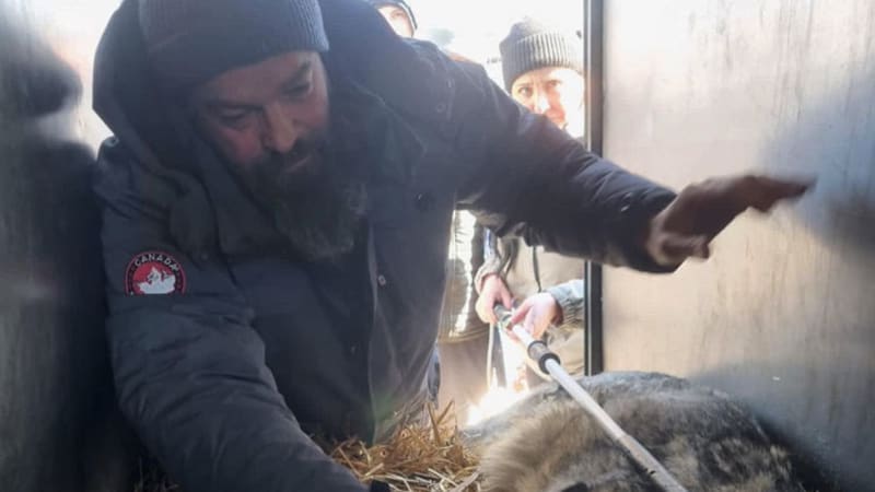 GALERIE: Týpci odjeli na Ukrajinu, aby zachránili zvířata z místní zoo. Podařilo se jim to?