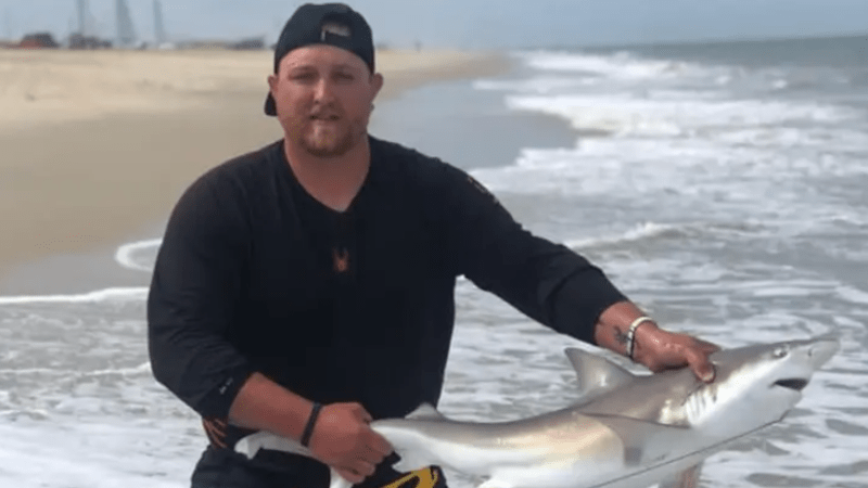 VIDEO: To je hnus! Rybáři otevřeli plechovku piva o zuby ubohého žraloka. Hrozí jim něco?