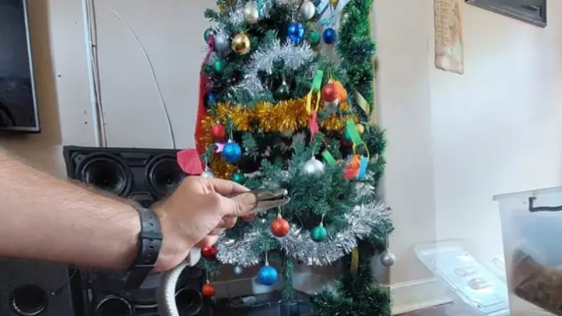 Rodina zažila na Vánoce ohromný šok! Pod stromečkem na ně čekal prudce jedovatý had