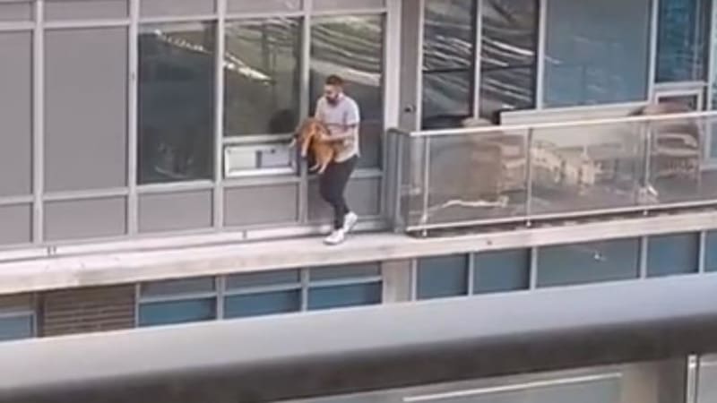 VIDEO: Muž riskoval život, aby zachránil kočku balkonu. Jeho odvaha dojala celý internet
