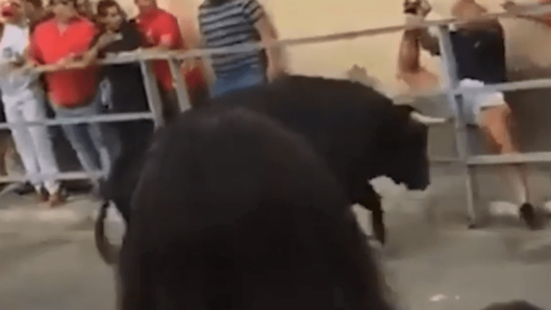 VIDEO: Býk brutálně zaútočil na muže a několikrát ho nabodl do varlat. Tyhle záběry budou bolet i vás