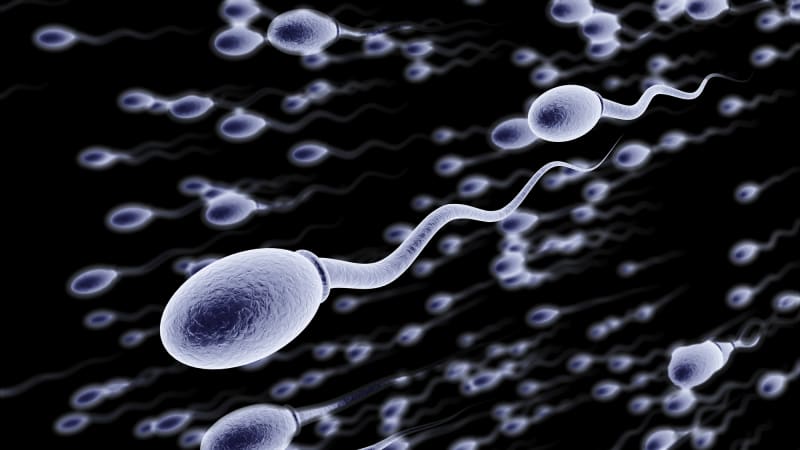 ODHALENO: Sperma v jídle nebo do kávy. Neuvěříte, kde všude se používá!