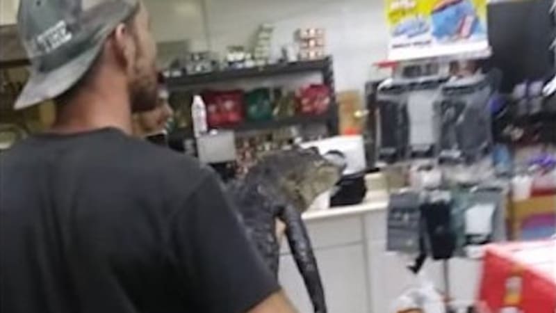 VIDEO: Týpek si zaběhl na benzínku pro pivo s aligátorem v náručí. Tohle se může stát jenom v Americe!