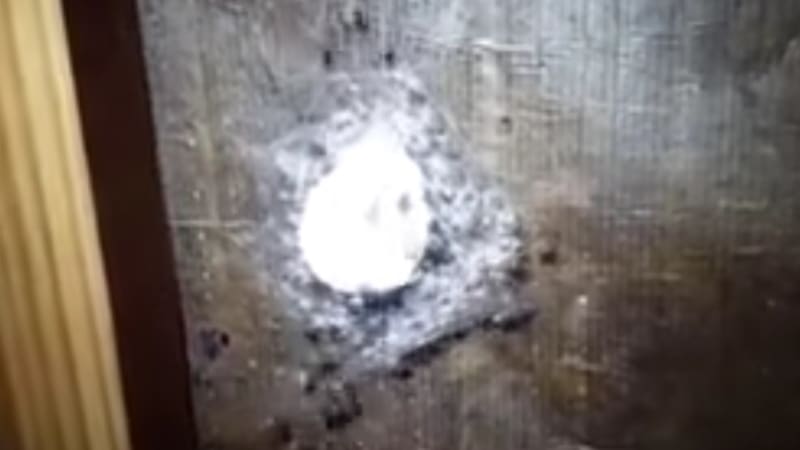 VIDEO: Muž šel zkontrolovat obří pavoučí hnízdo. Pavoučci ale utekli a on uviděl něco, co děsí celý internet!