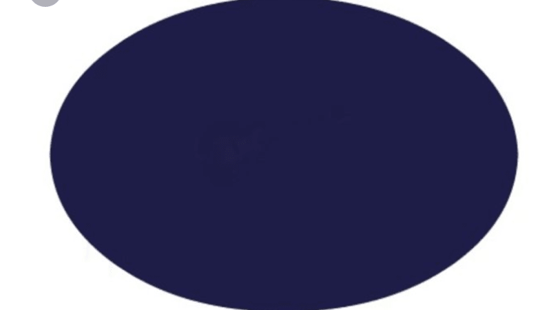 FOTO: Optická hádanka, kterou vyluští jen nejchytřejší lidé světa! Poznáte, co se skrývá v modrém kruhu?
