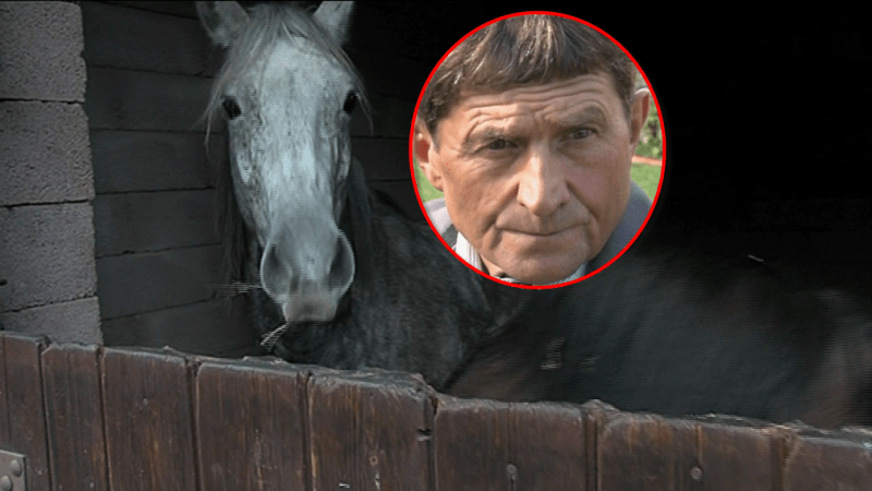 Žokej Váňa má potíže: Musel darovat dva koně