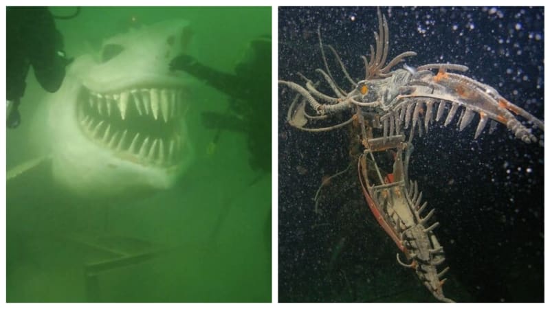 GALERIE: 20 nejděsivějších fotek z hlubin oceánů. Po tomhle už do vody nevlezete!