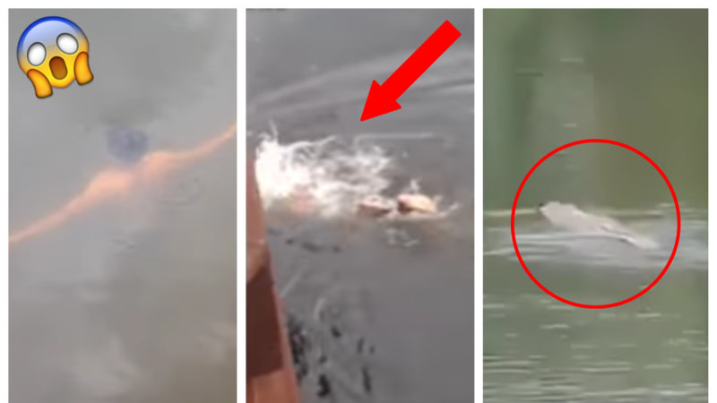 VIDEO: Šílený šaman skočil do jezera, aby dokázal svou schopnost krotit krokodýly. Sežrali ho!