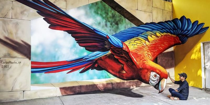 Geniální 3D umění v mexických ulicích.