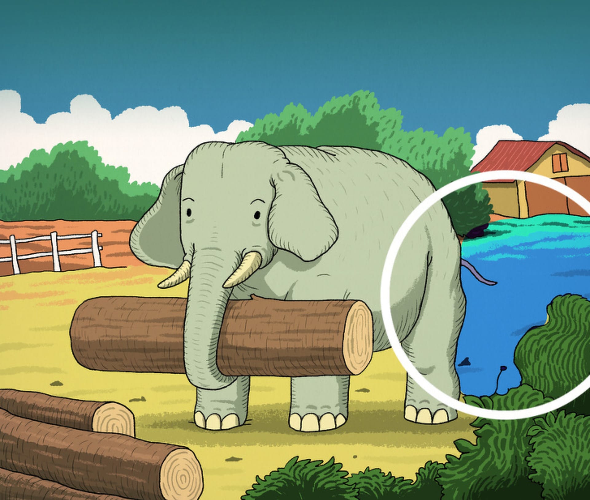 Našli jste na obrázku se slonem ještě jedno zvíře? 2