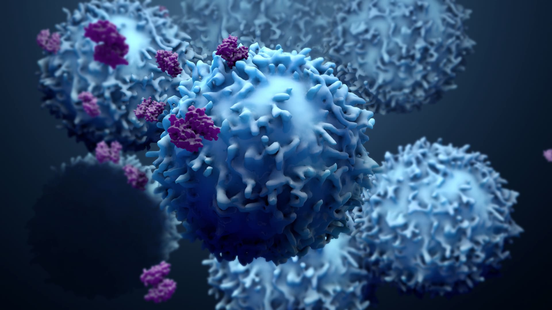 Lék dostarlimab v lidském těle aktivuje protilátky, které bojují s rakovinou