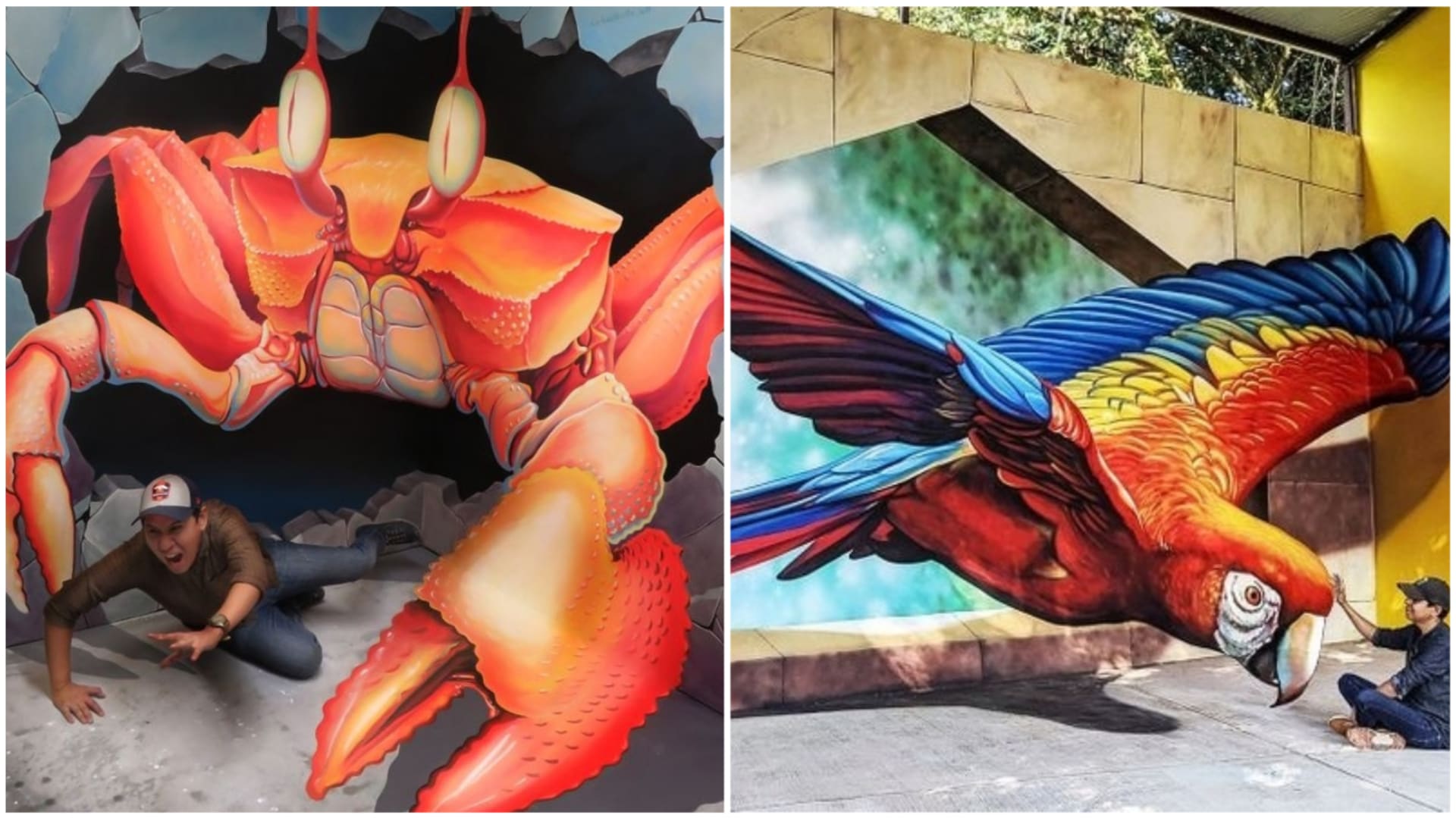 Geniální 3D umění v mexických ulicích.