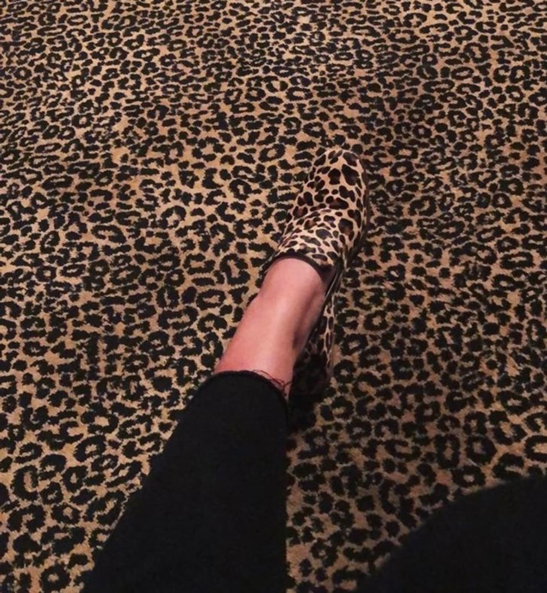 Jako správný leopard se umí boty skvěle maskovat