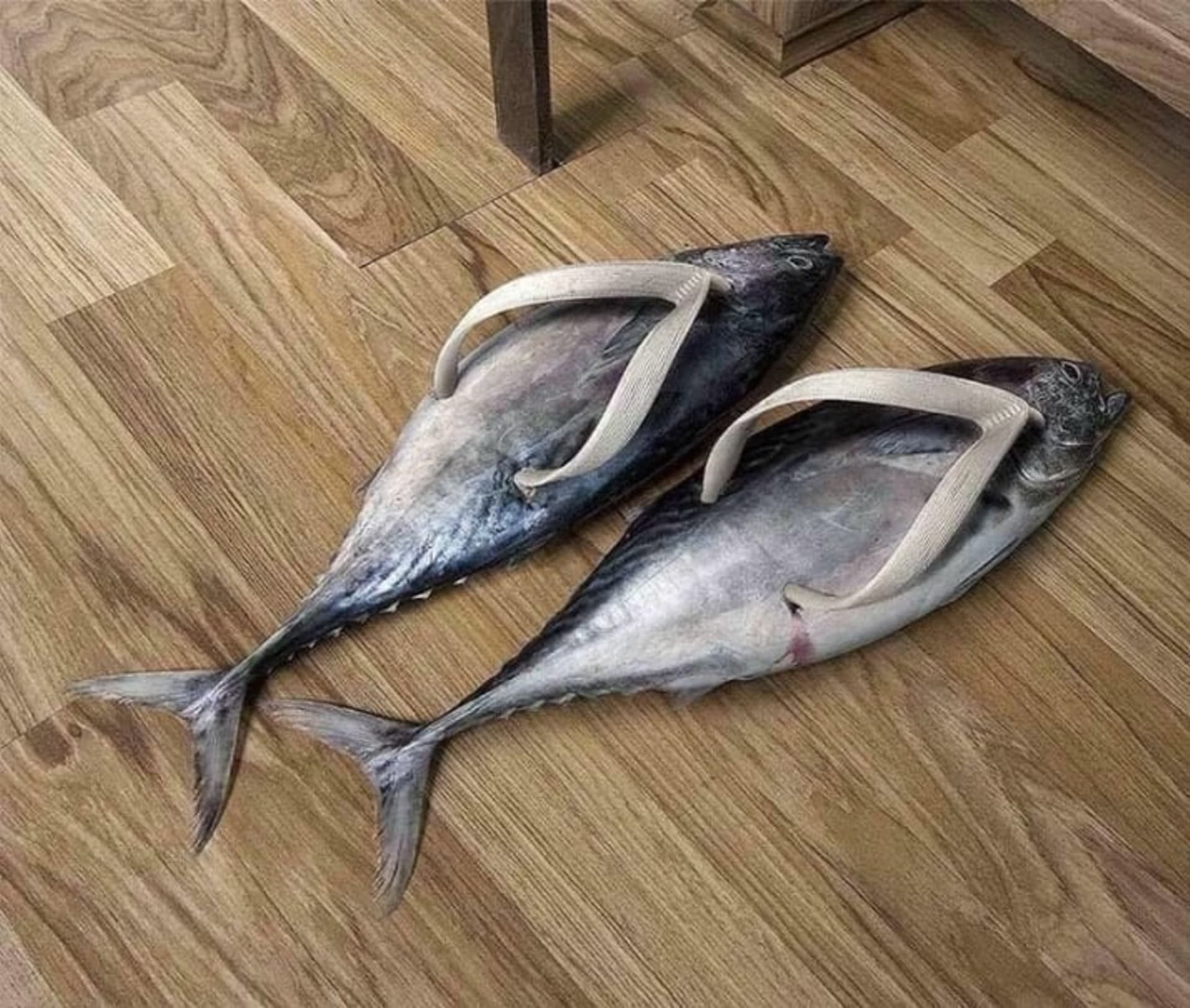 Líbí se vám rybí pantofle?