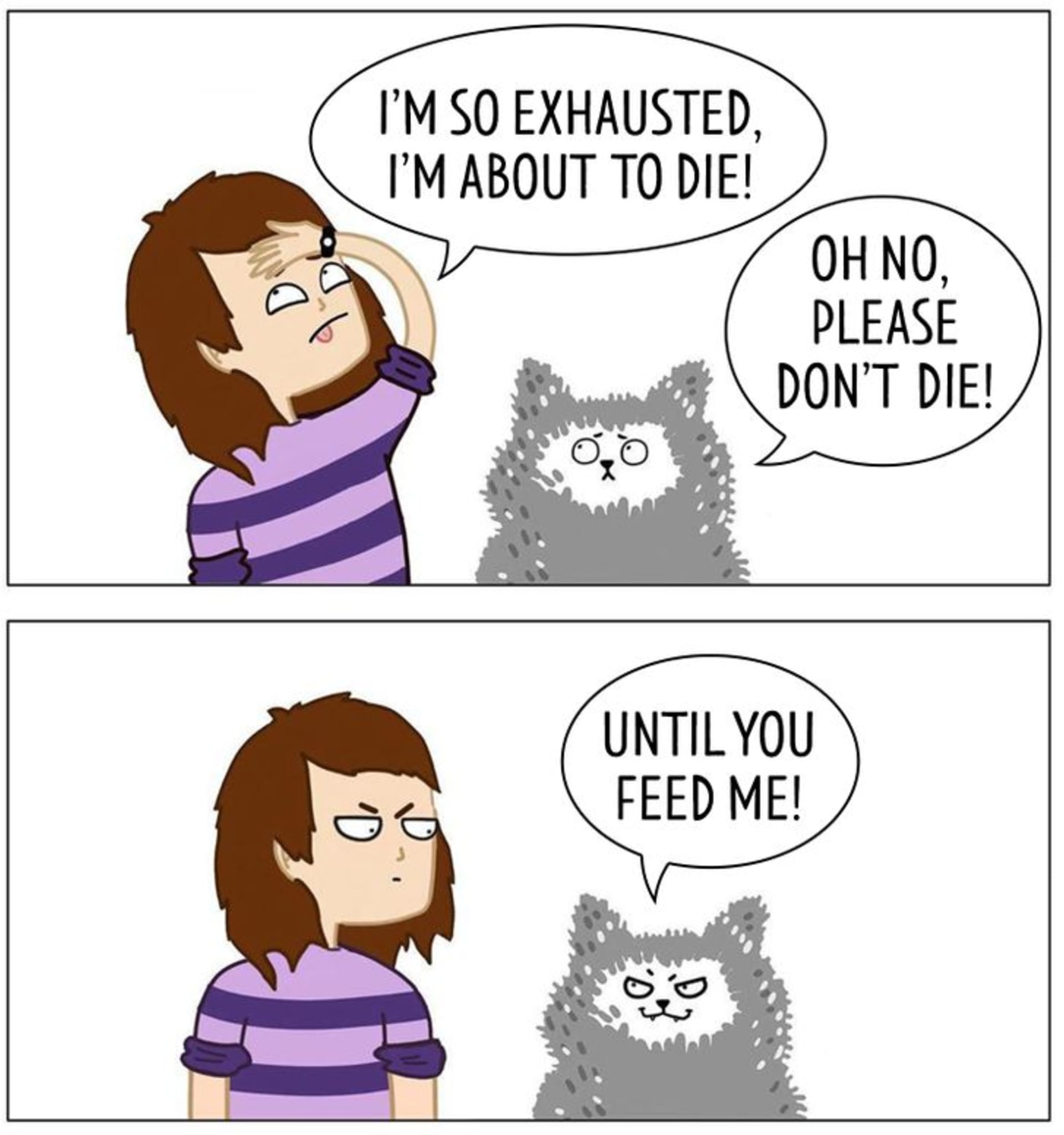 Pravdivé ilustrace ze života s kočkami 13