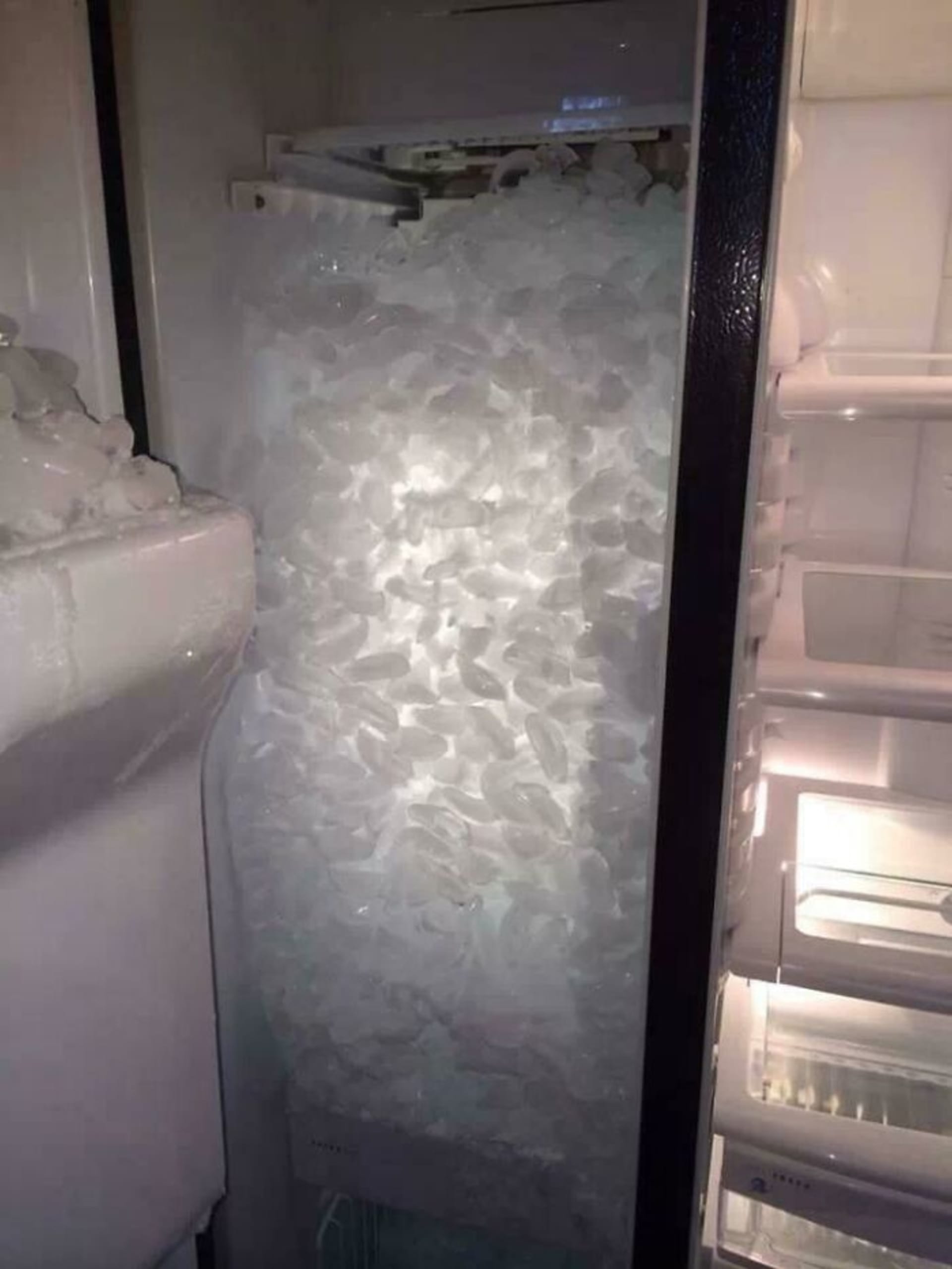 Bizarní nálezy v lednicích