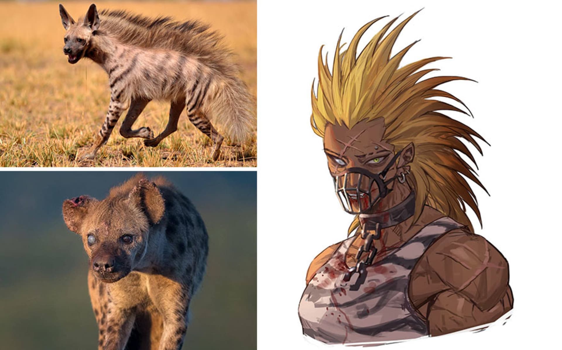 Umělec přetváří zvířata na anime postavy 15