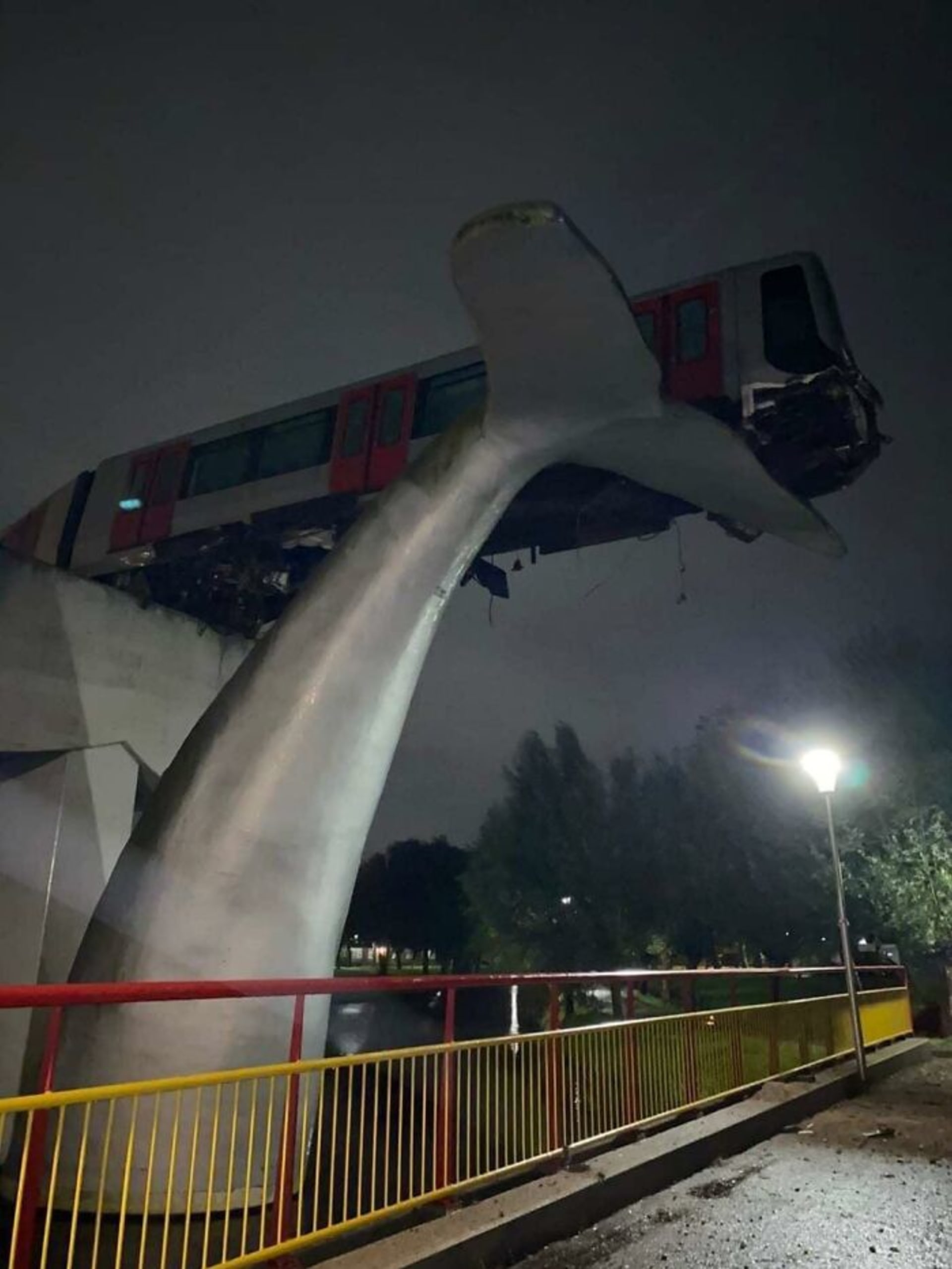 Vlak metra zachránil od pádu ocas velryby