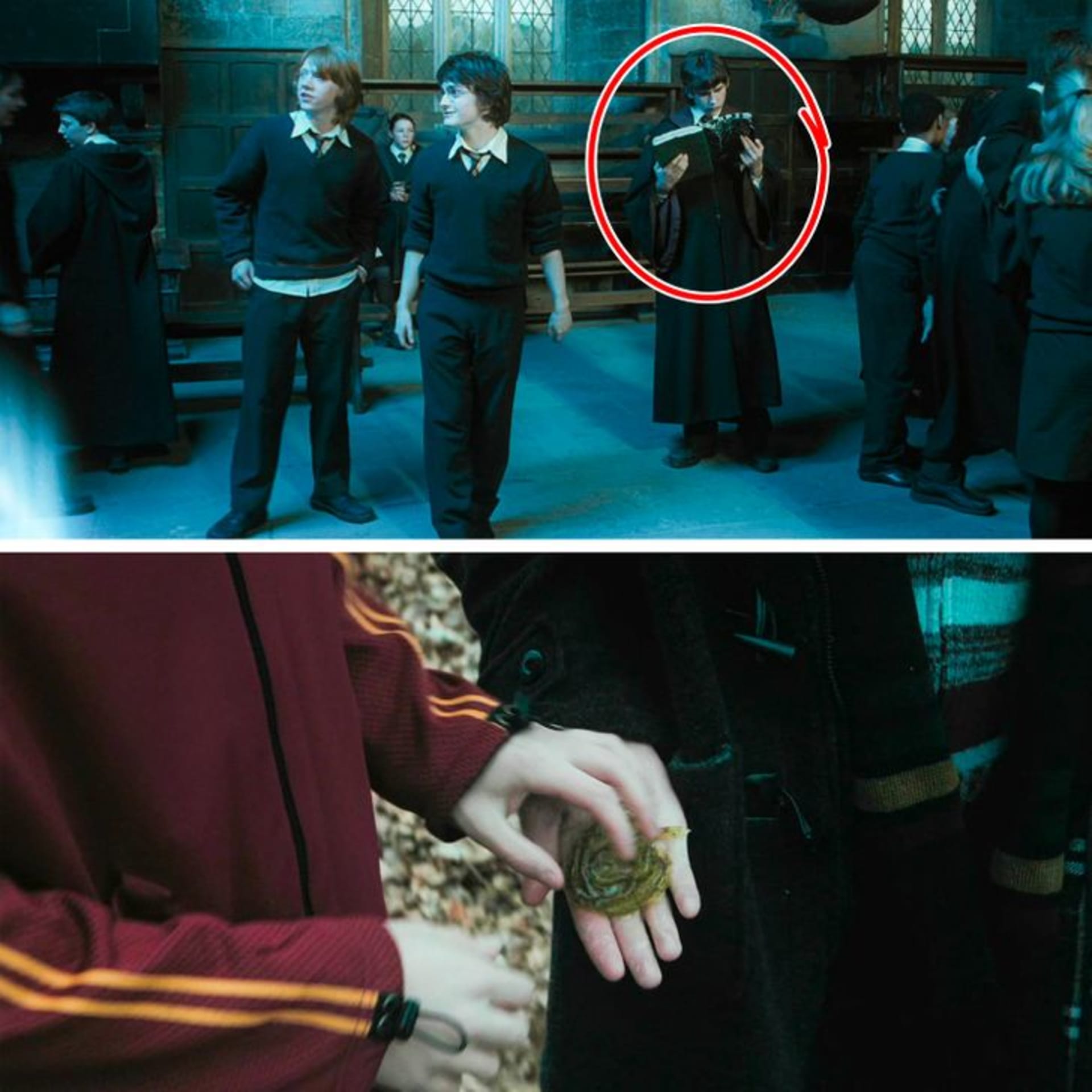 Když studenti házejí svá jména do Ohnivého poháru, Neville si opodál čte knihu Kouzelné rostliny skotských jezer, díky které poté pomůže Harrymu při druhém úkolu