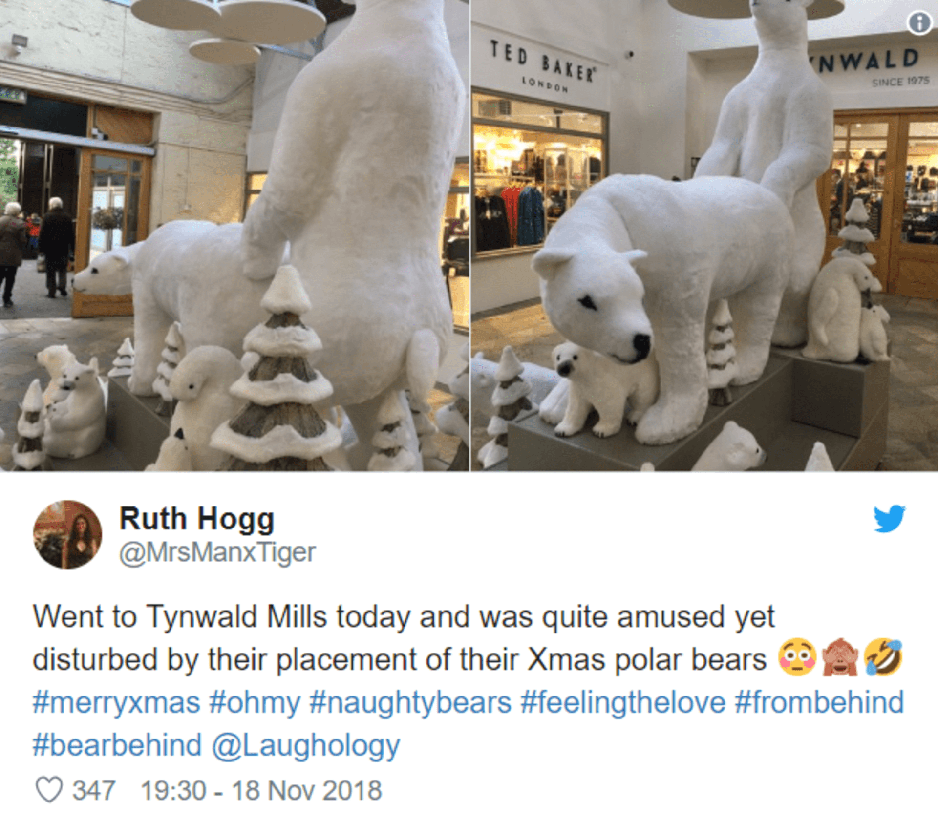 Lední medvědi v nákupním centru 1