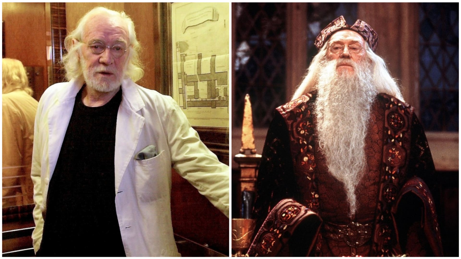 Richard Harris alias Brumbál v prvním a druhém díle Harryho Pottera