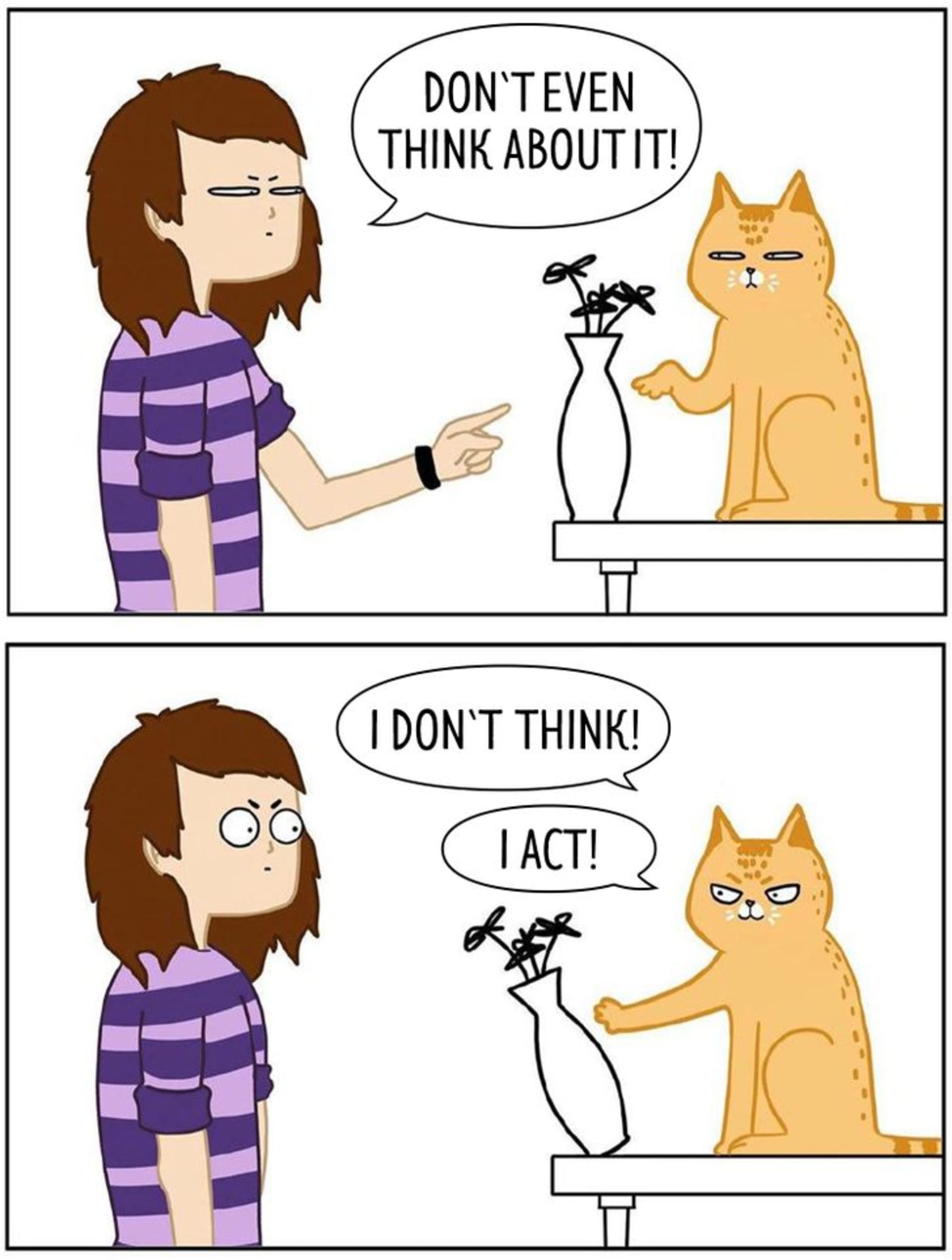 Pravdivé ilustrace ze života s kočkami 1