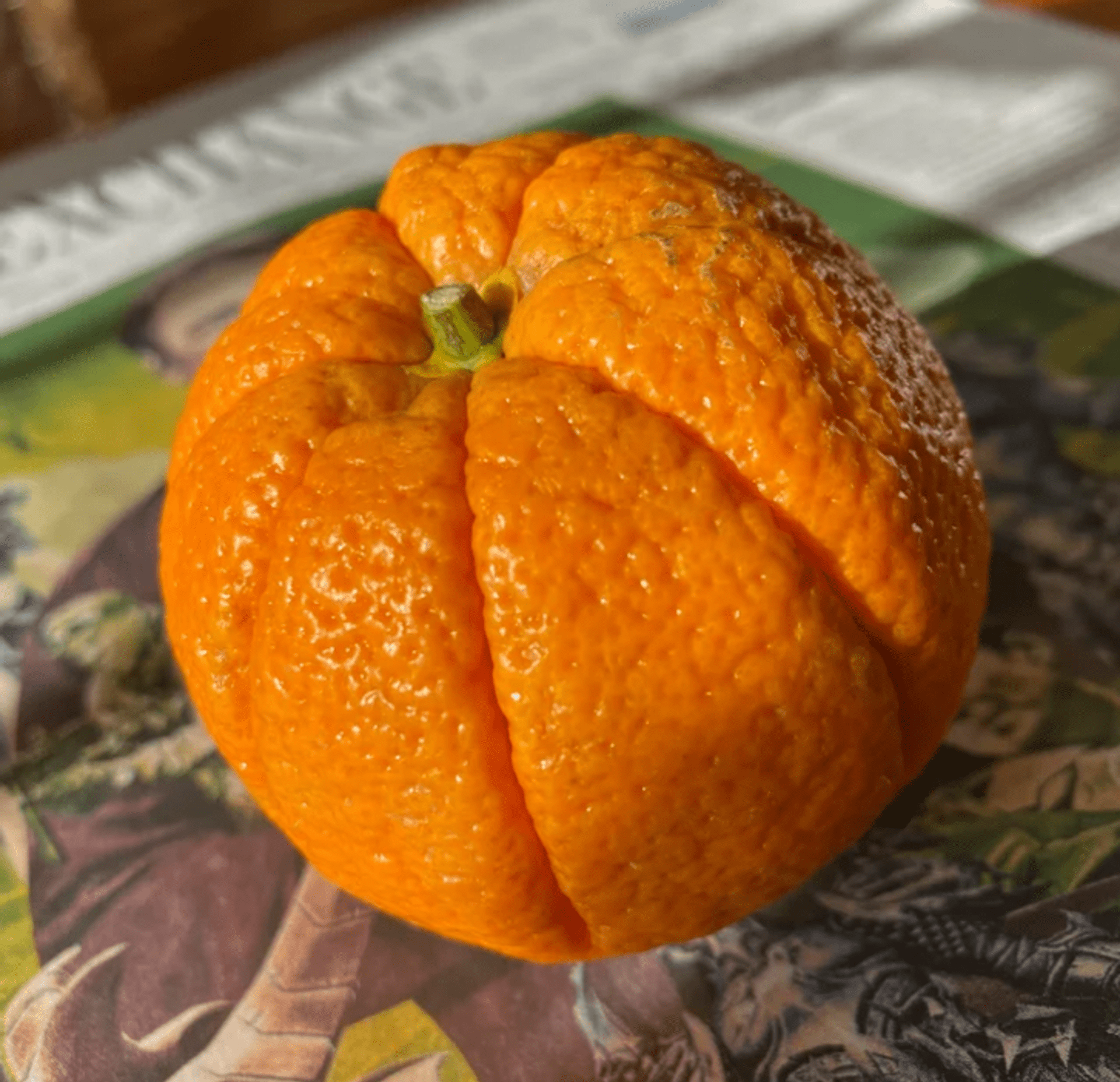 Pomeranč, nebo mini dýně?