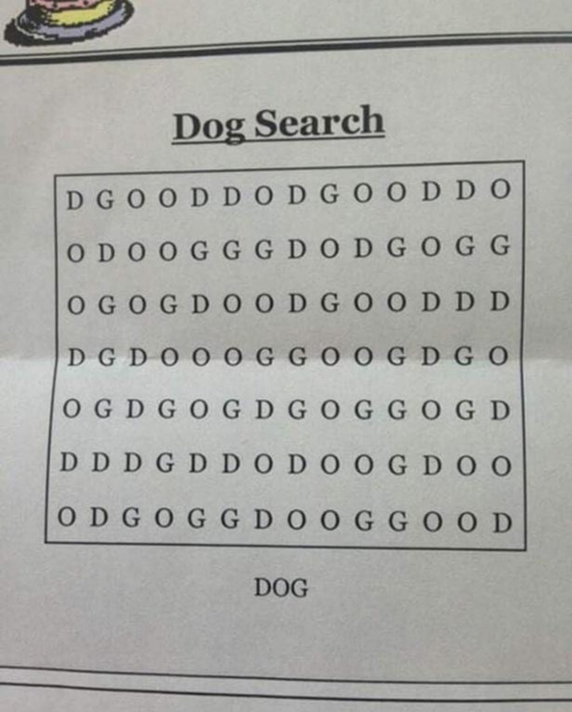 Našli jste psa?