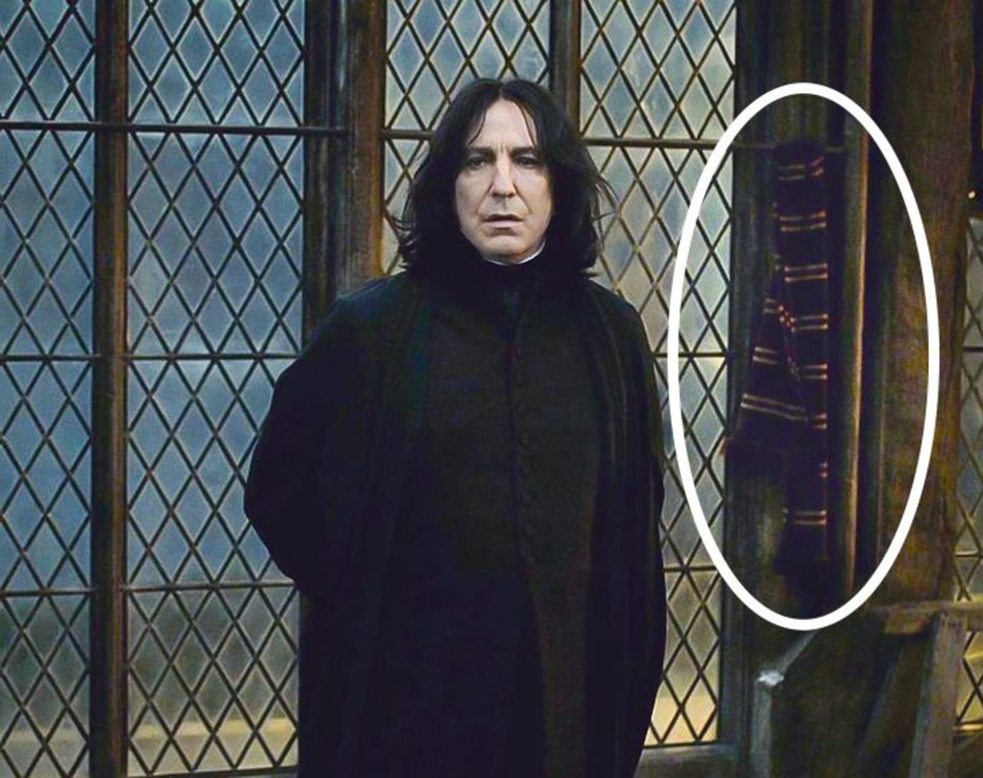 Nebelvírská šála za Severusem Snapem