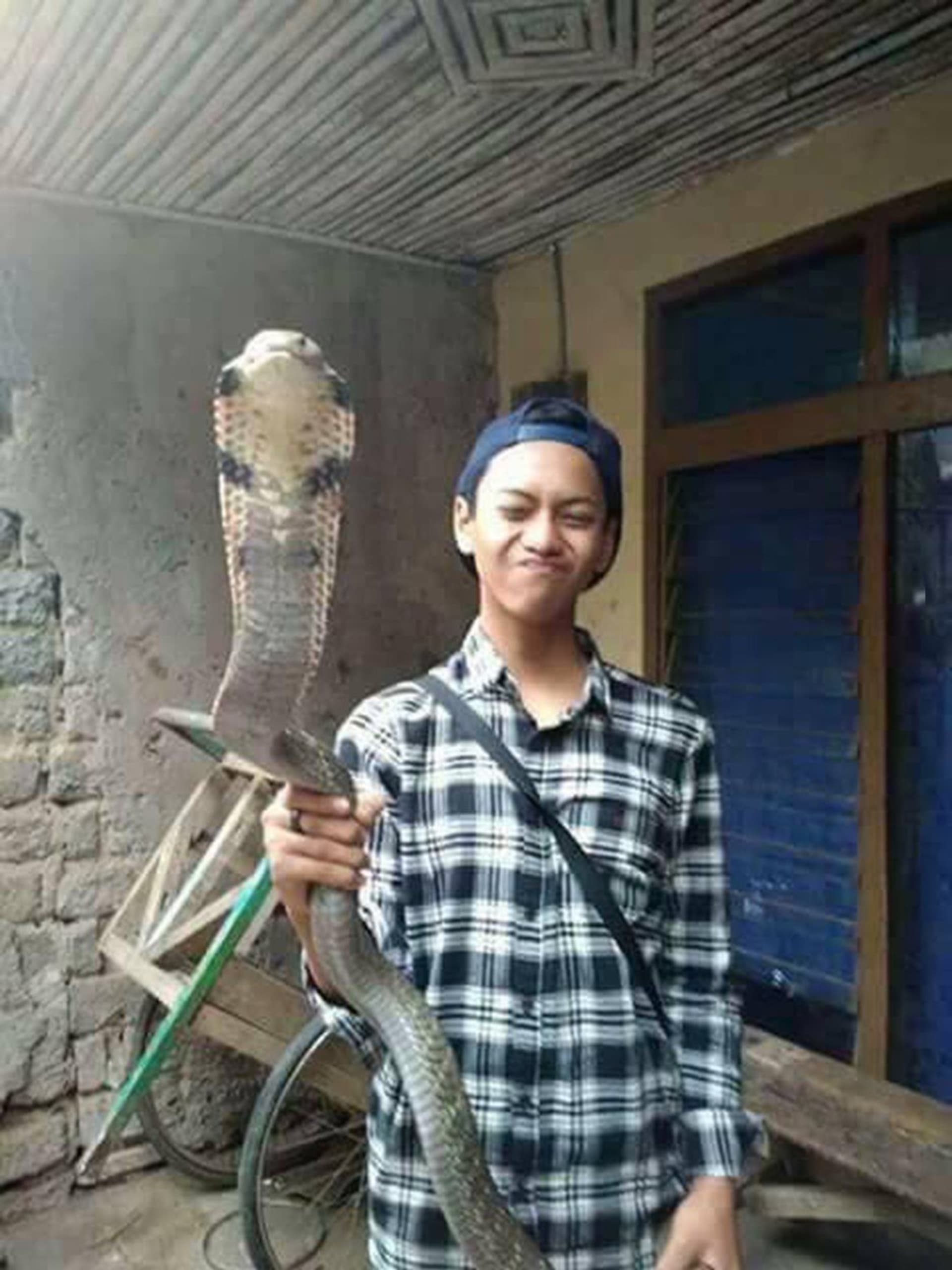 Čtrnáctiletý Aril z Indonésie si chtěl pořídit rádoby stylovou fotku s kobrou. Ta ho ovšem kousla a on za pár hodin zemřel.