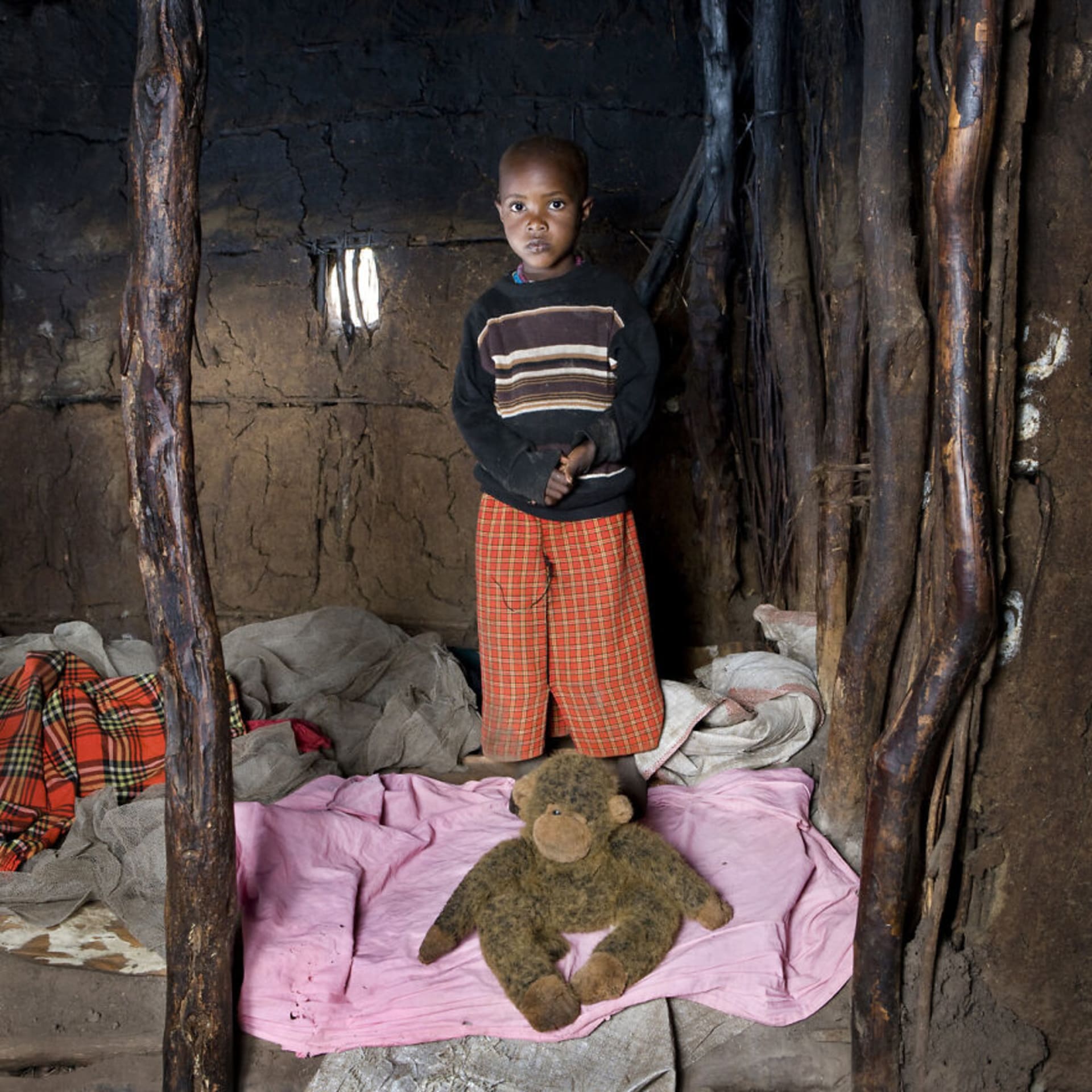 Tangawizi, 3 roky, Keekorok, Keňa