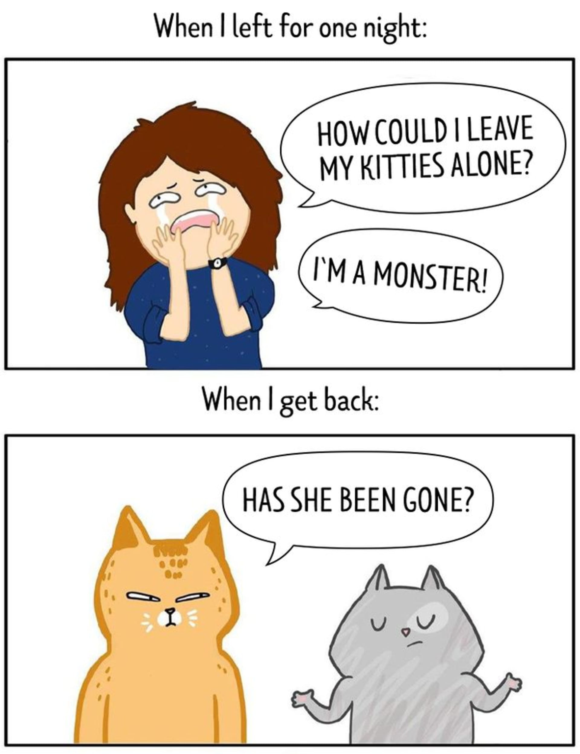 Pravdivé ilustrace ze života s kočkami 7