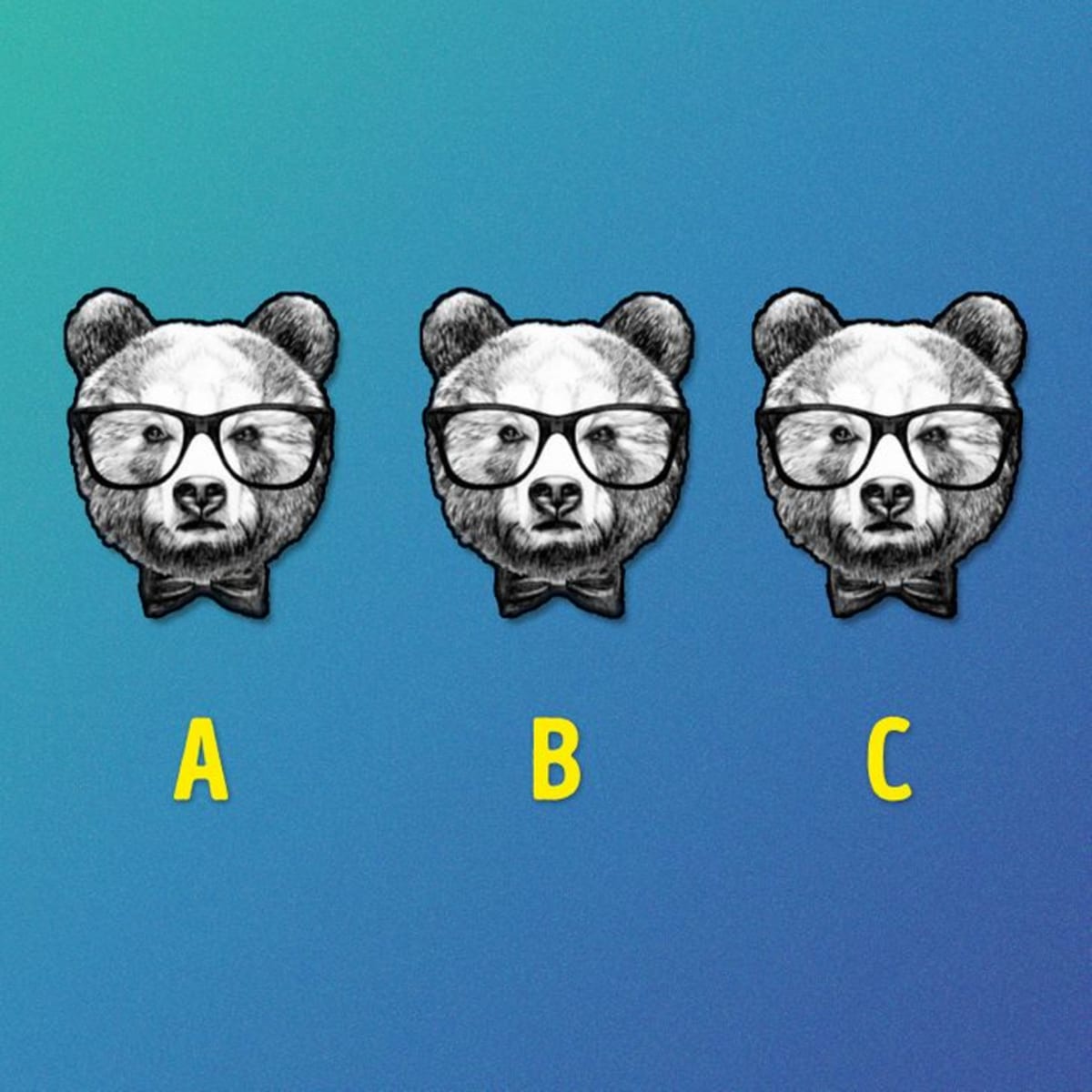 Který medvídek je jiný než ostatní? 1