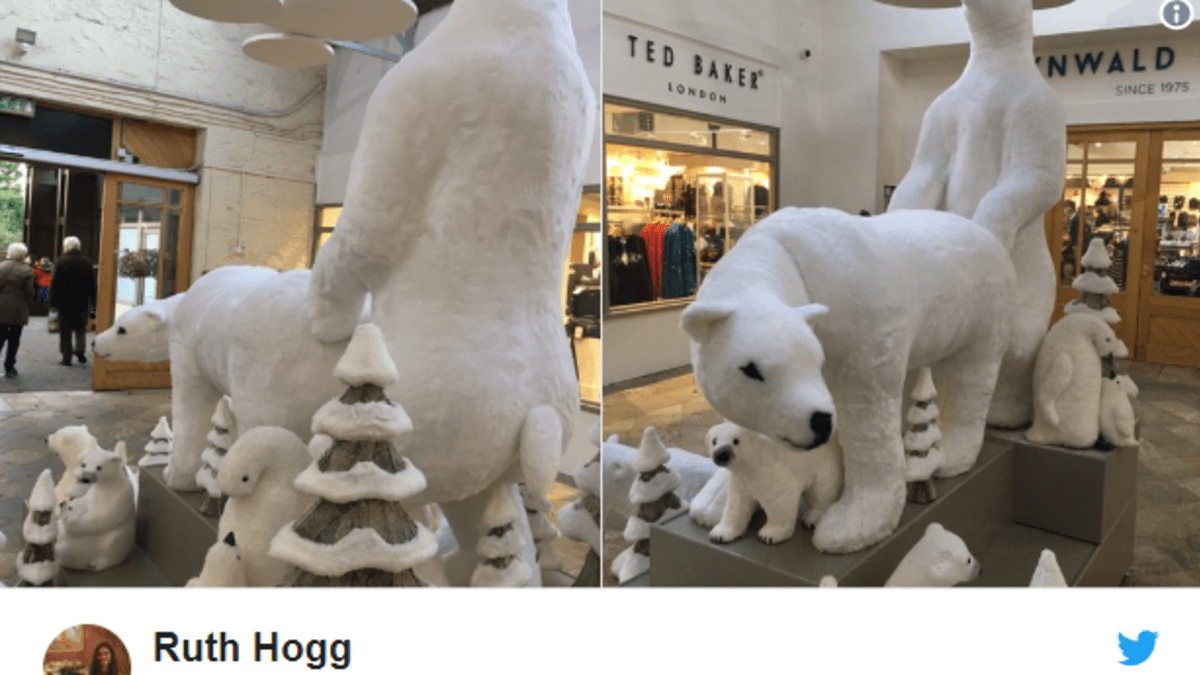 Lední medvědi v nákupním centru 1