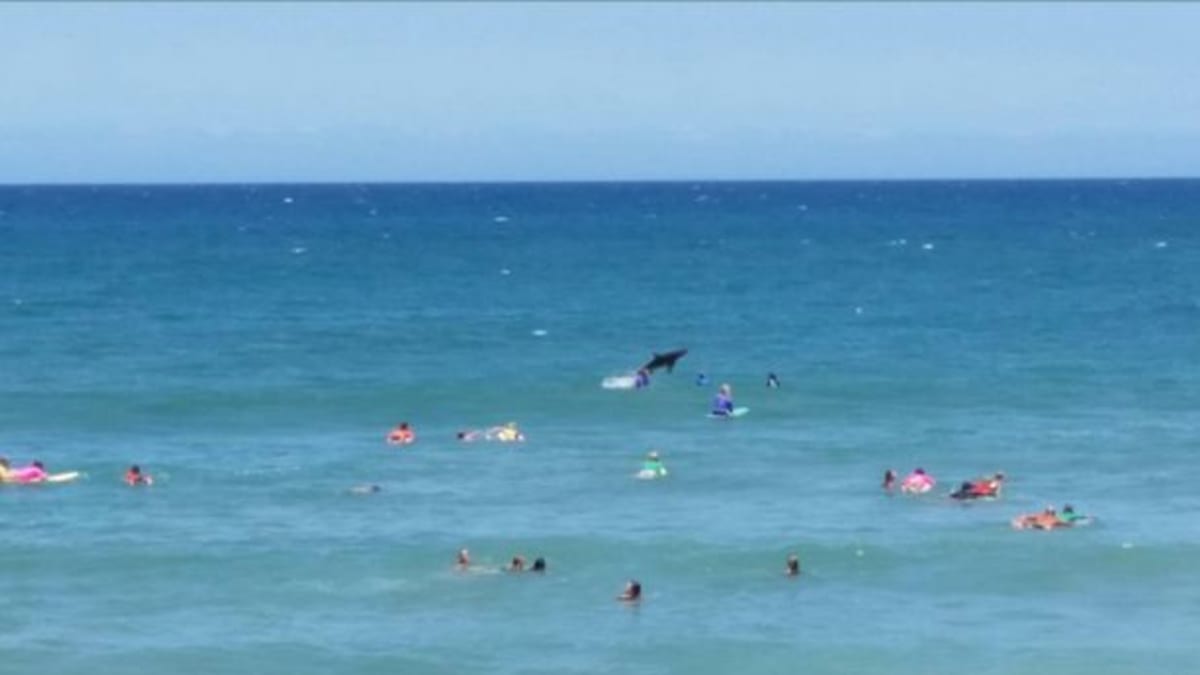 Žralok vyskočil nad hladinu u australské pláže, v té chvíli tam surfoval klub maminek