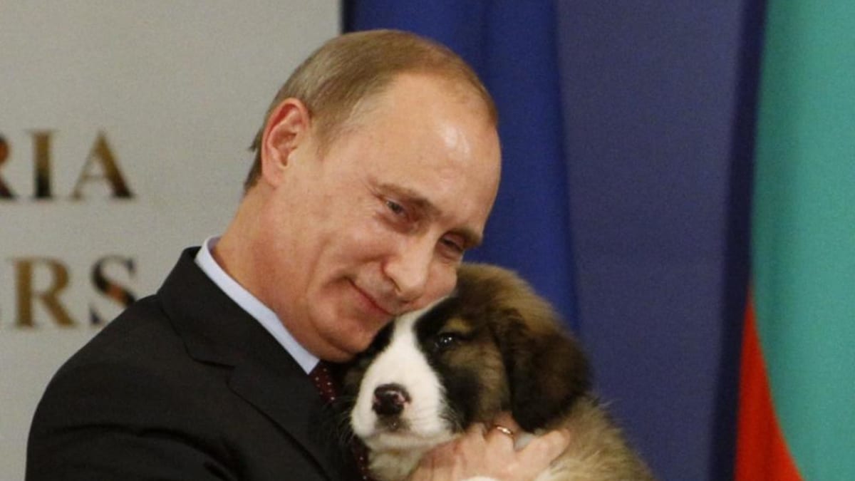 Prezident Putin: Mrkněte, jak se lísá. Dáš si jed pejsánku?