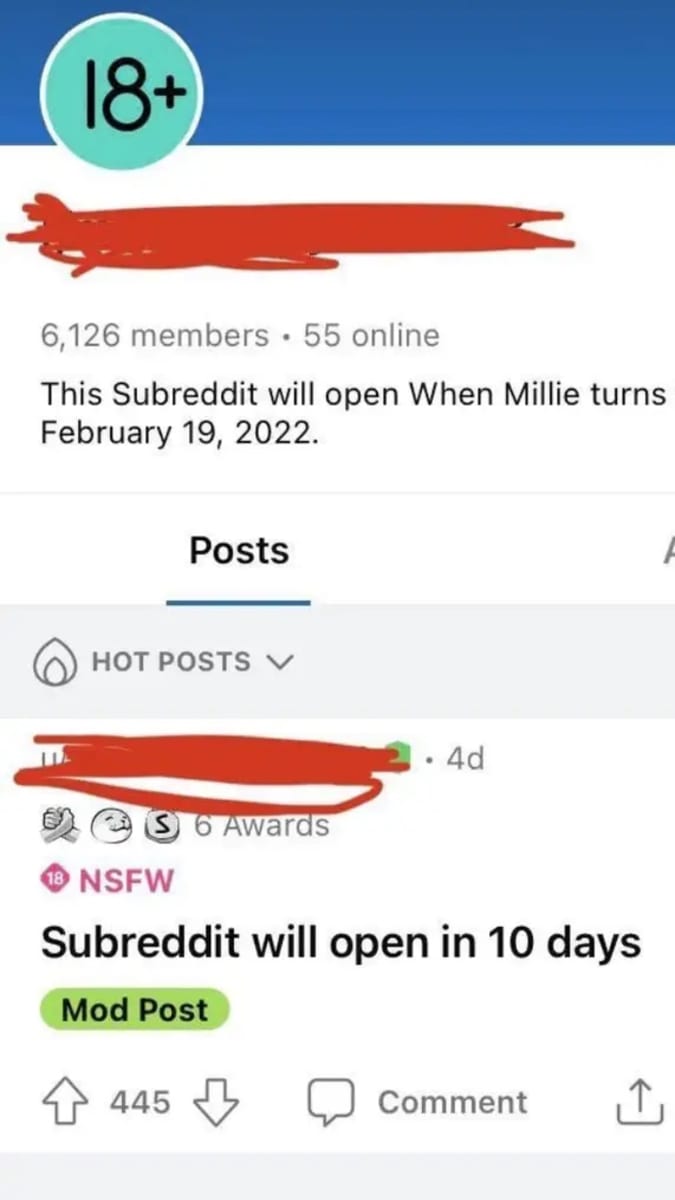 Takhle Reddit očekával narozeniny herečky Millie Bobby Brown