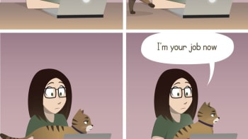 Život s kočkou