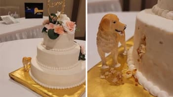 Nejkreativnější svatební dorty