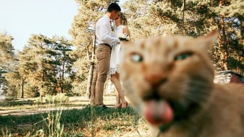 12 nejlepších svatebních fotobomb