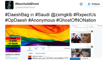 Gay pornem proti ISIS