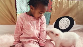 Přátelství malé černošské holčičky a jejího růžového prasátka
