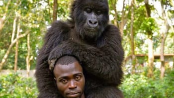 Gorily si udělaly selfie se strážci parku